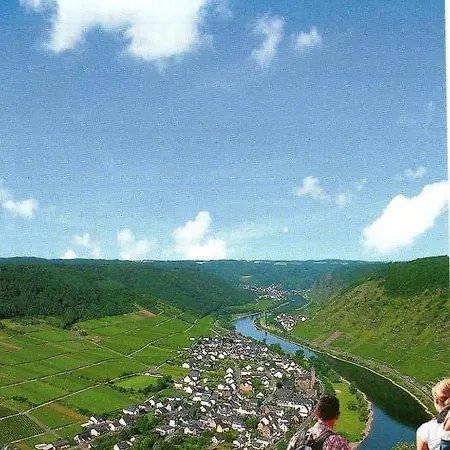 公寓 Moselwinzerhaus 布鲁蒂凡科