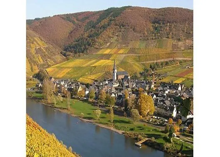 Moselwinzerhaus Appartement