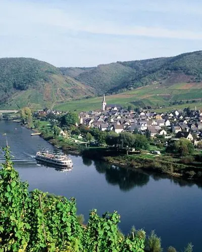 Moselwinzerhaus Appartement *